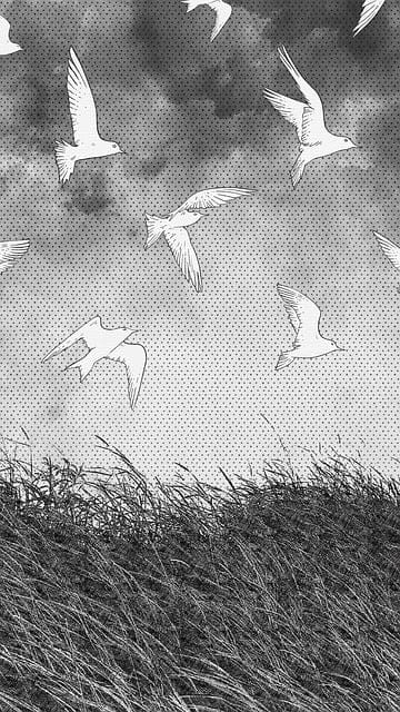 Creative AI: Can Machines Truly Create Art? Creative AI: Can Machines Truly Create Art?